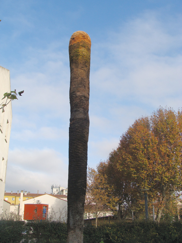 perpignan-lutte-contre-les-parasites-des-palmiers