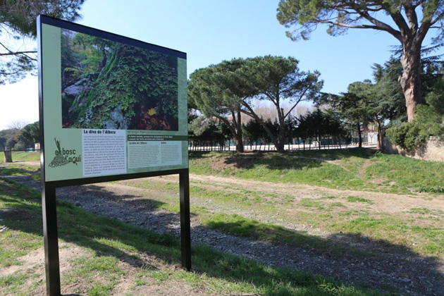 Argelès-sur-Mer : L’exposition « El bosc d’aquí » au cœur du village