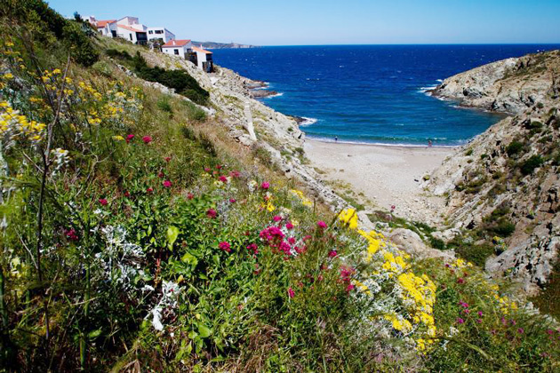 cerbere-banyuls-premiere-reserve-marine-creee-en-france