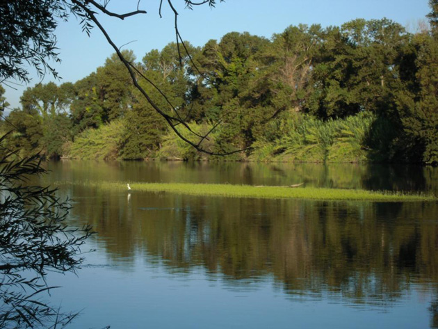 Argelès-sur-Mer : Balade à la Réserve naturelle du Mas Larrieu le 24 mai