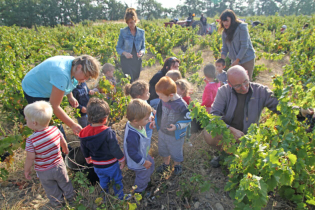 le-vin-produit-au-soler-sexporte-partout-dans-le-monde-de-la-belgique-a-la-chine