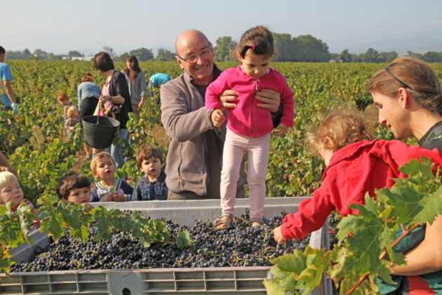 le-vin-produit-au-soler-sexporte-partout-dans-le-monde-de-la-belgique-a-la-chine