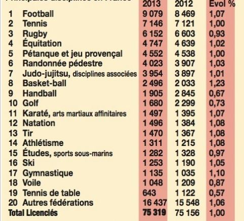 Football, Tennis, Rugby… Voici le classement des sports dans le 66