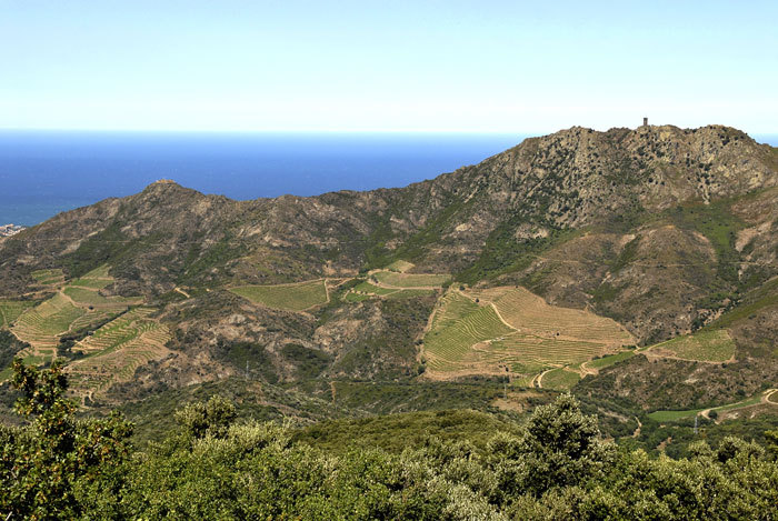 Que faire dans les Albères en ce mois de mai 2015