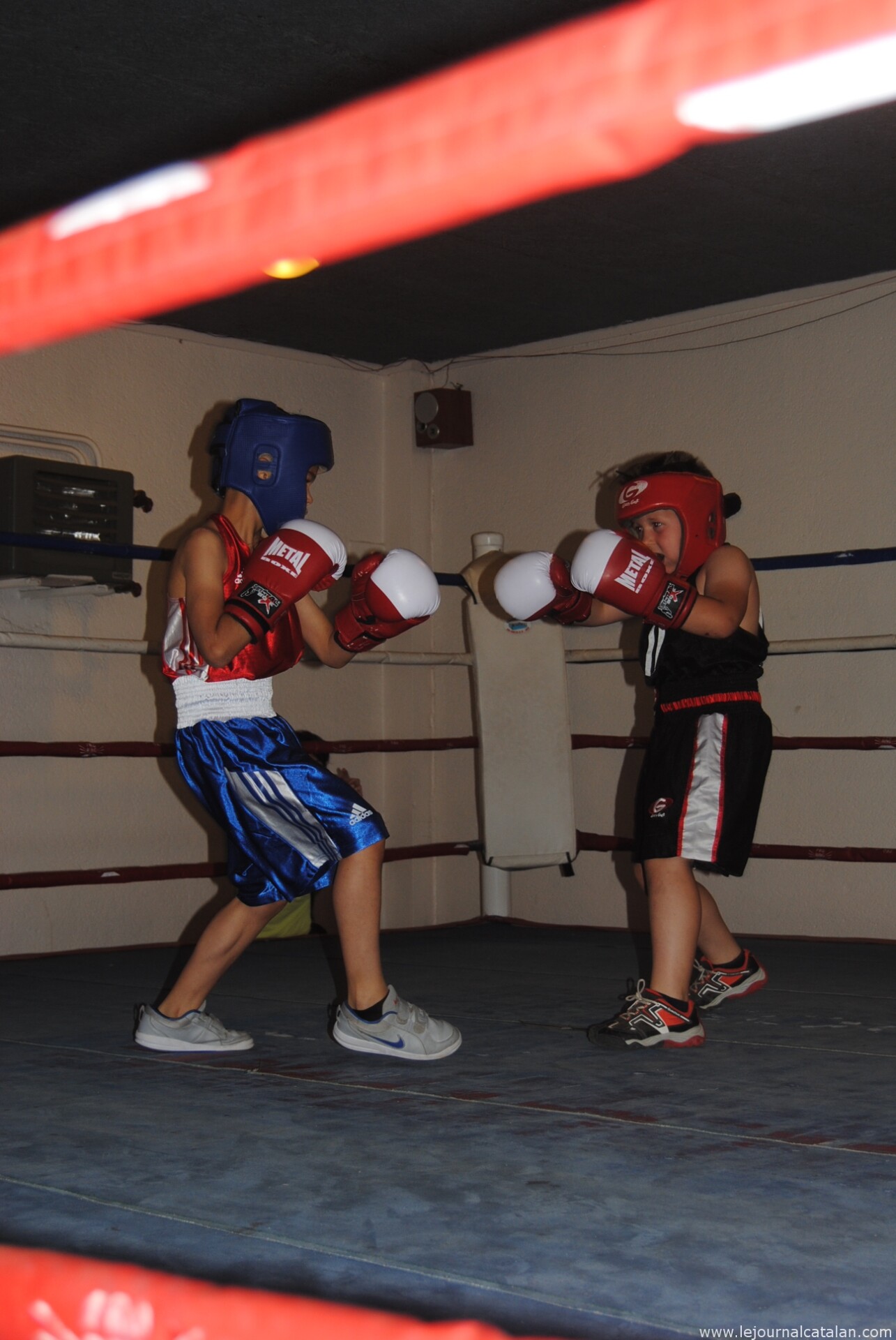 Thuir : les jeunes boxeurs à l’honneur