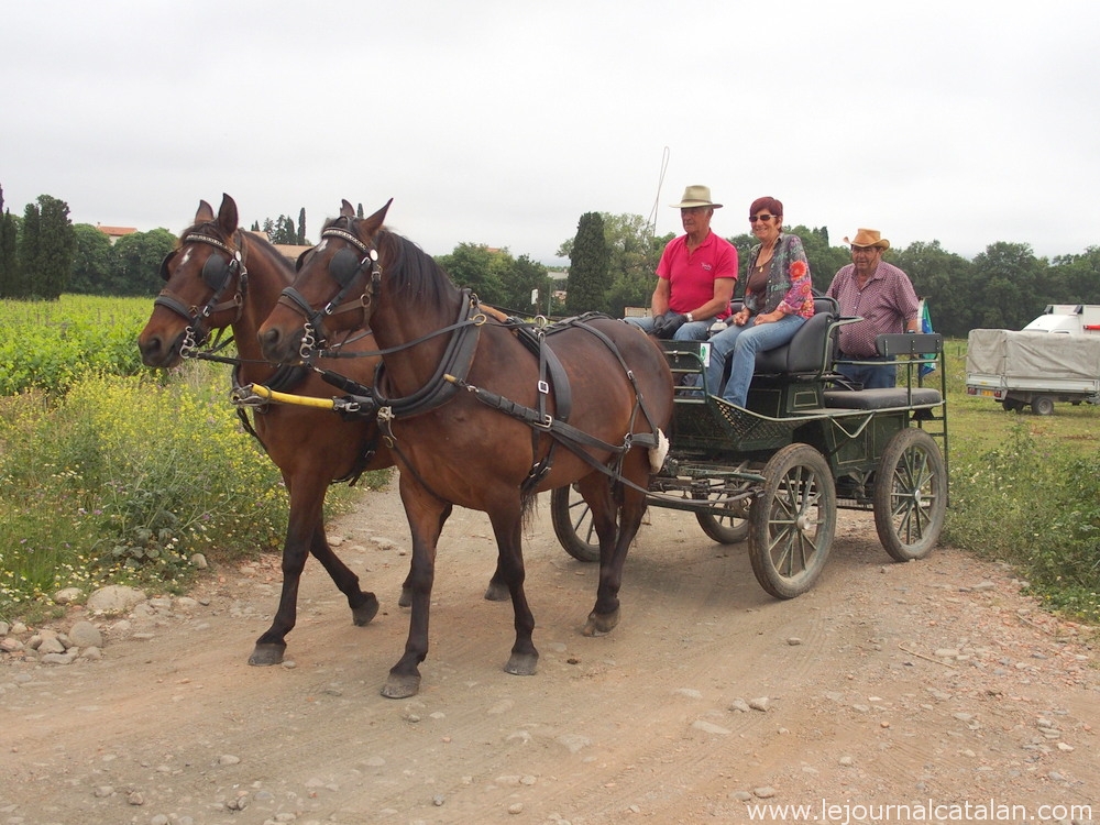 La route des deltas, un beau projet initié par des passionnés de chevaux