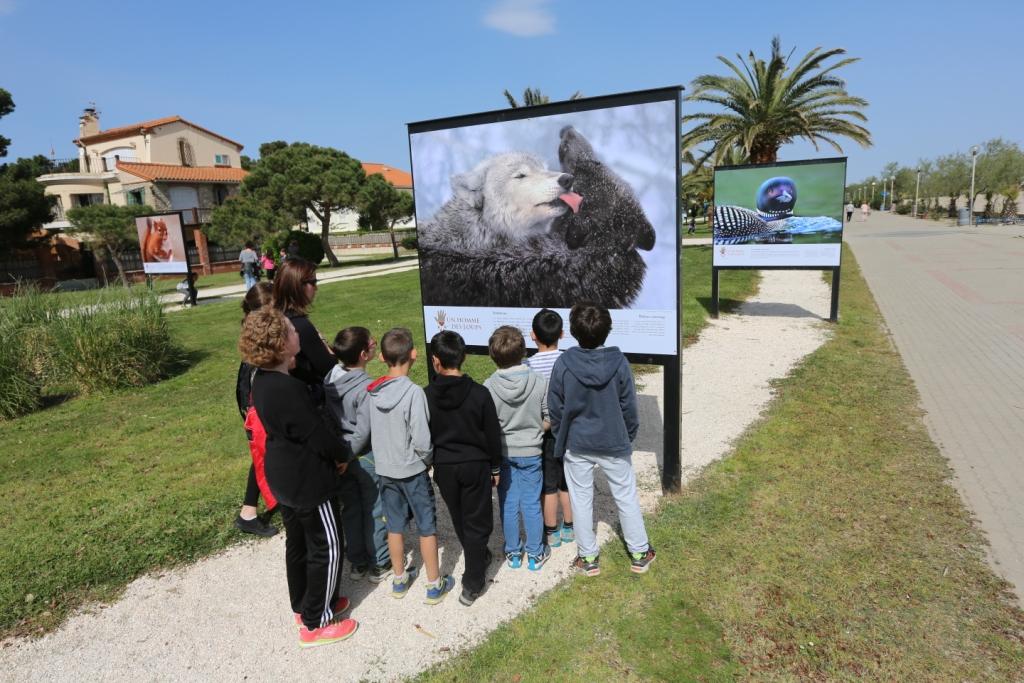 argeles-sur-mer-lactualite-de-enfants-de-la-mer