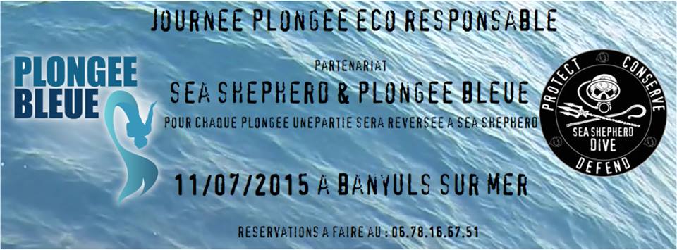 Banyuls-sur-mer : Journée de plongée éco-responsable au profit de Sea Shepherd