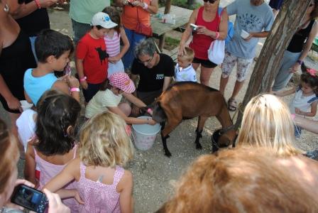 Saint-André : Les animaux de la ferme découverte…