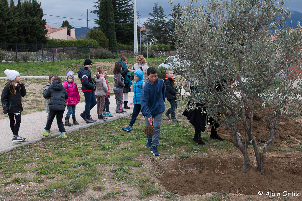 Vinça, les enfants ont planté un arbre pour le climat