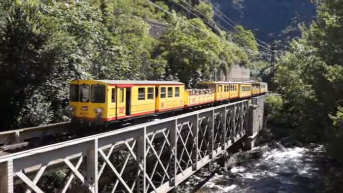 Train Jaune