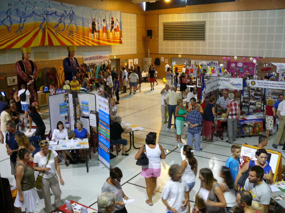 Succès au forum des associations d’Argeles sur Mer