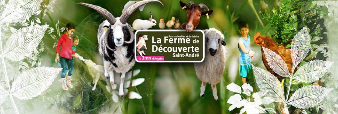 de-nombreuses-activites-pedagogiques-lanniversaire-de-ferme-decouverte-de-saint-andre-11-13-novembre