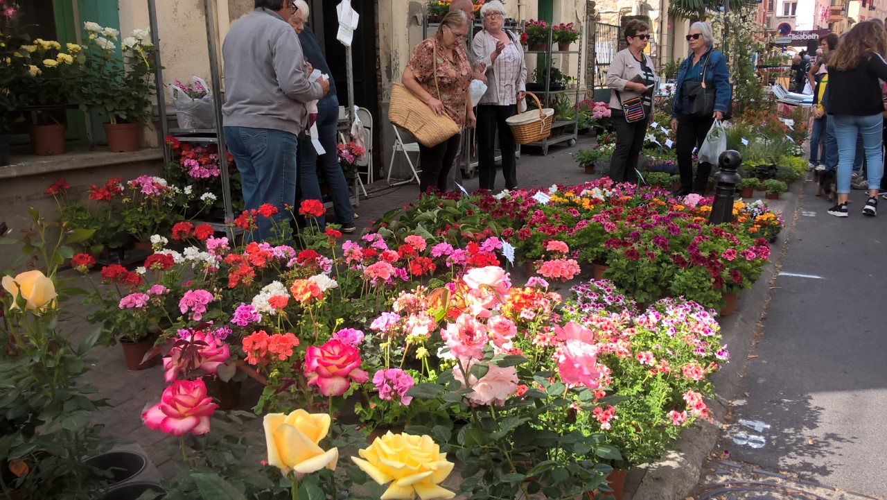 argeles-sur-mer-fete-le-jardin-le-30-avril-toute-la-journee