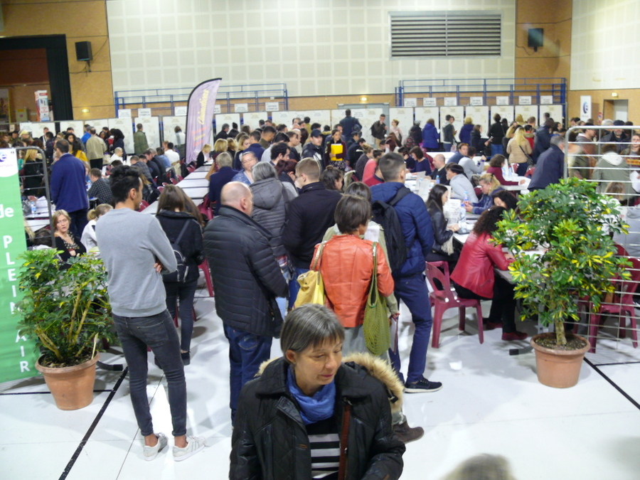 1400 participants à la 23ème bourse aux emplois saisonniers d’Argeles sur Mer