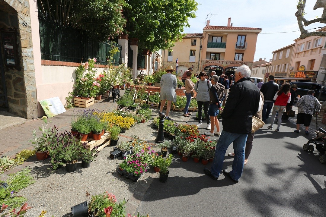 les-jardins-sont-en-fete-le-dimanche-6-mai-a-argeles-sur-mer