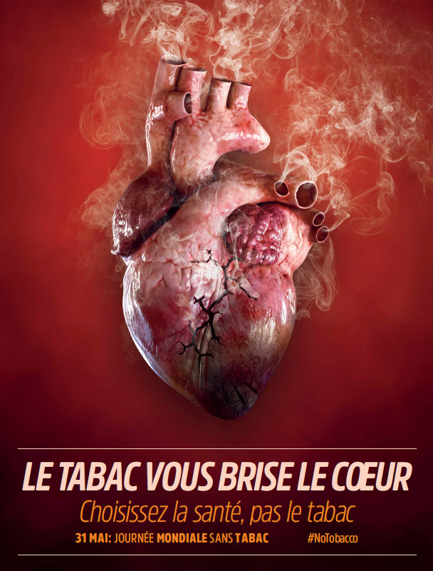 des-1-cigarette-par-jour-coeur-et-arteres-en-danger