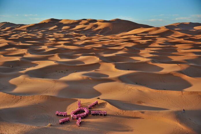 trophee-roses-des-sables-symbole-fort-dans-les-dunes-de-merzouga-pour-le-cancer-du-sein