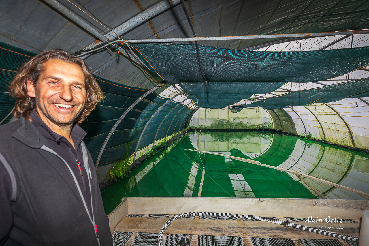 Rencontre avec la spiruline du Conflent