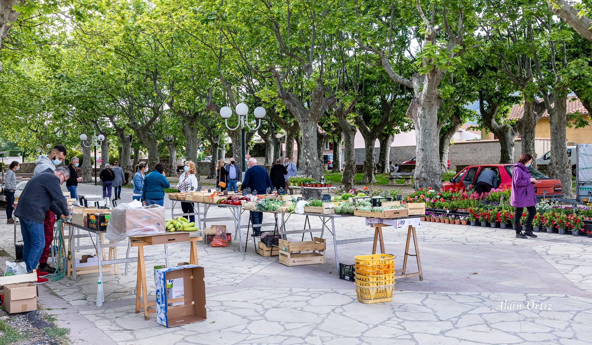 Transfert définitif des marchés de plein air à Vinça