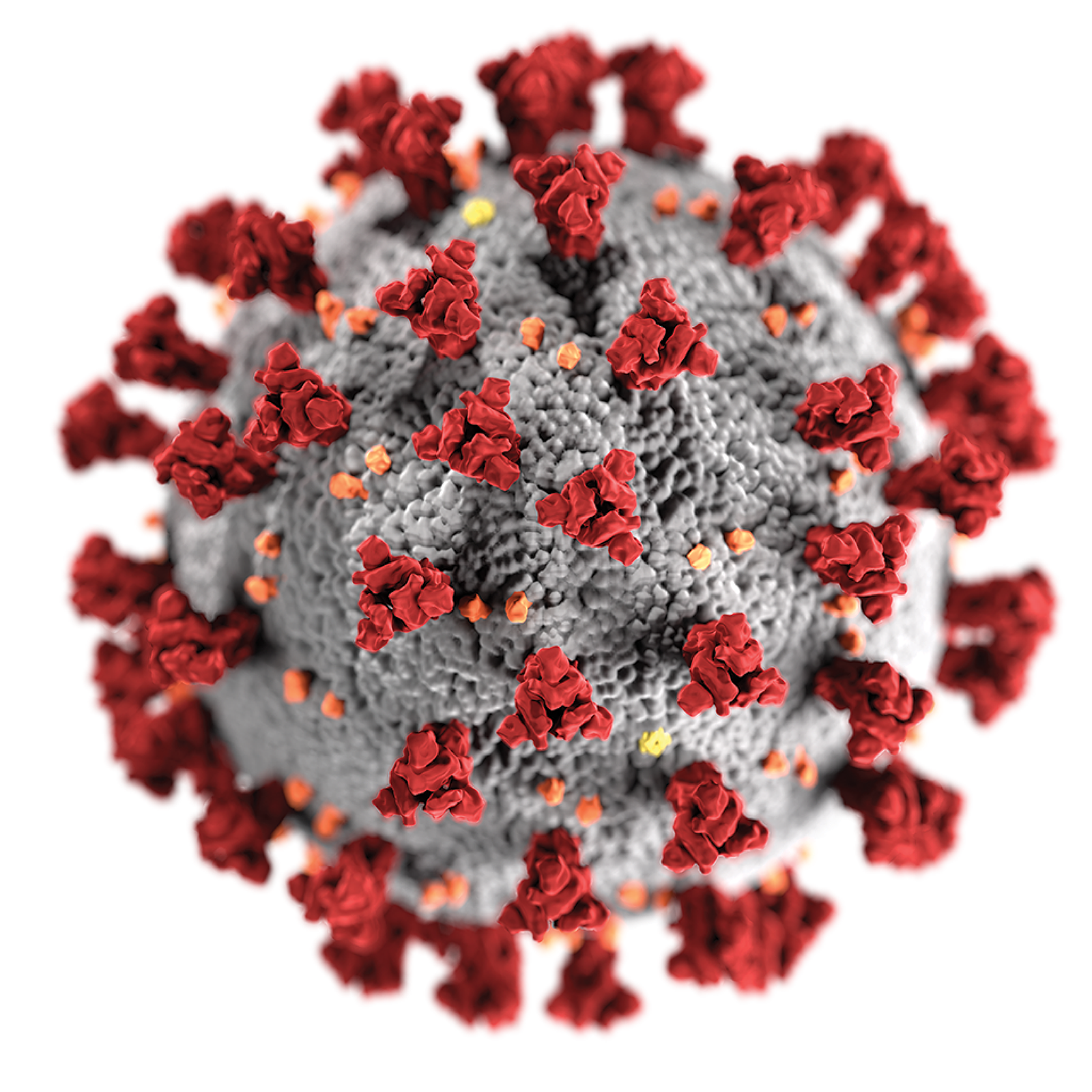 Coronavirus : dernier point de situation en Occitanie