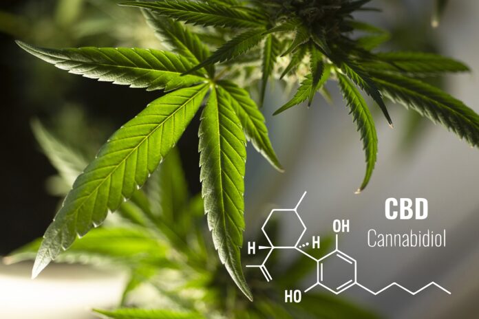 Où trouver du CBD de qualité ?