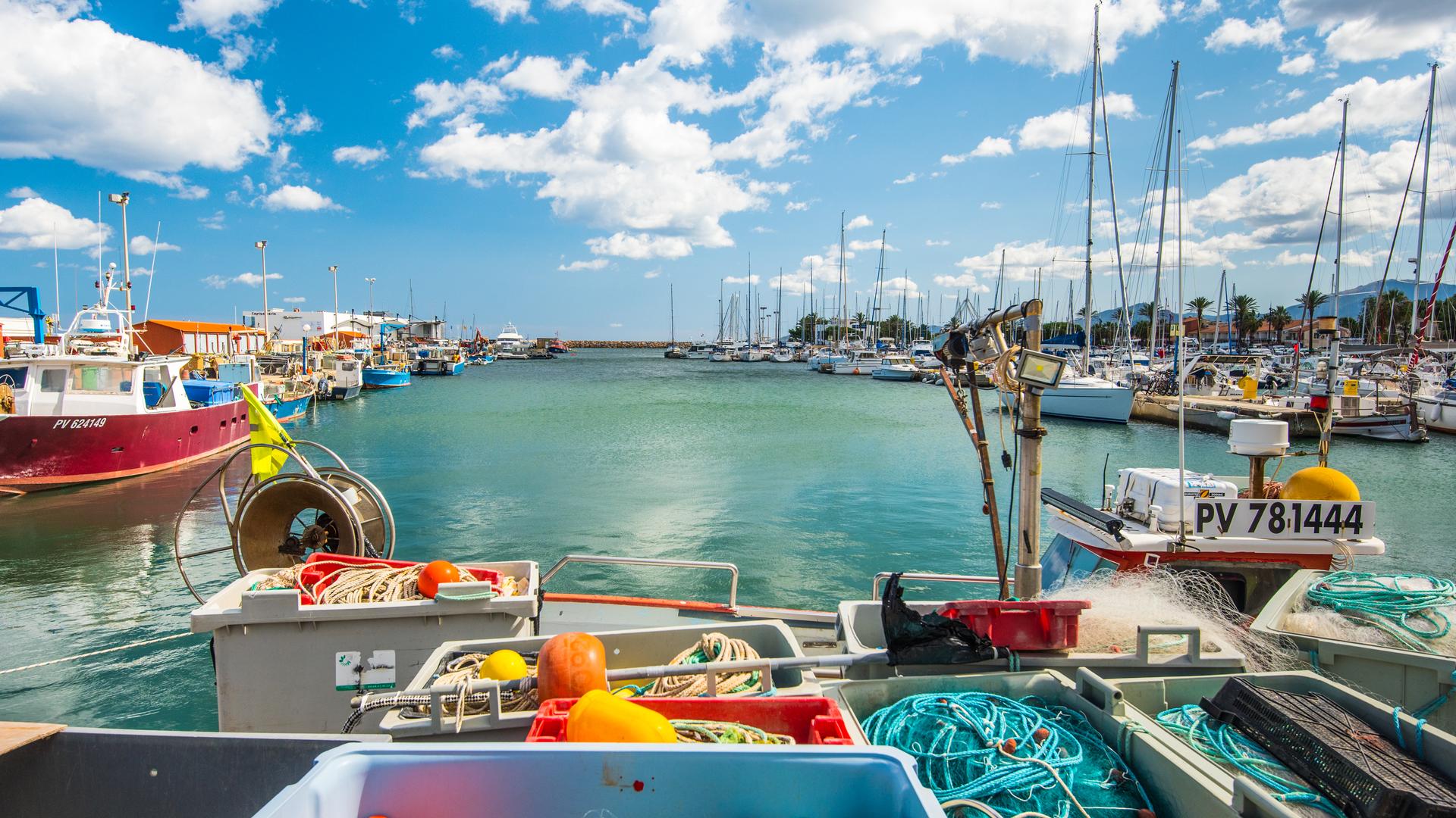 #FLASHINFO : Saint-Cyprien : Changements profonds pour le port – Abbaye Saint Martin du Canigou : Monument préféré des français 