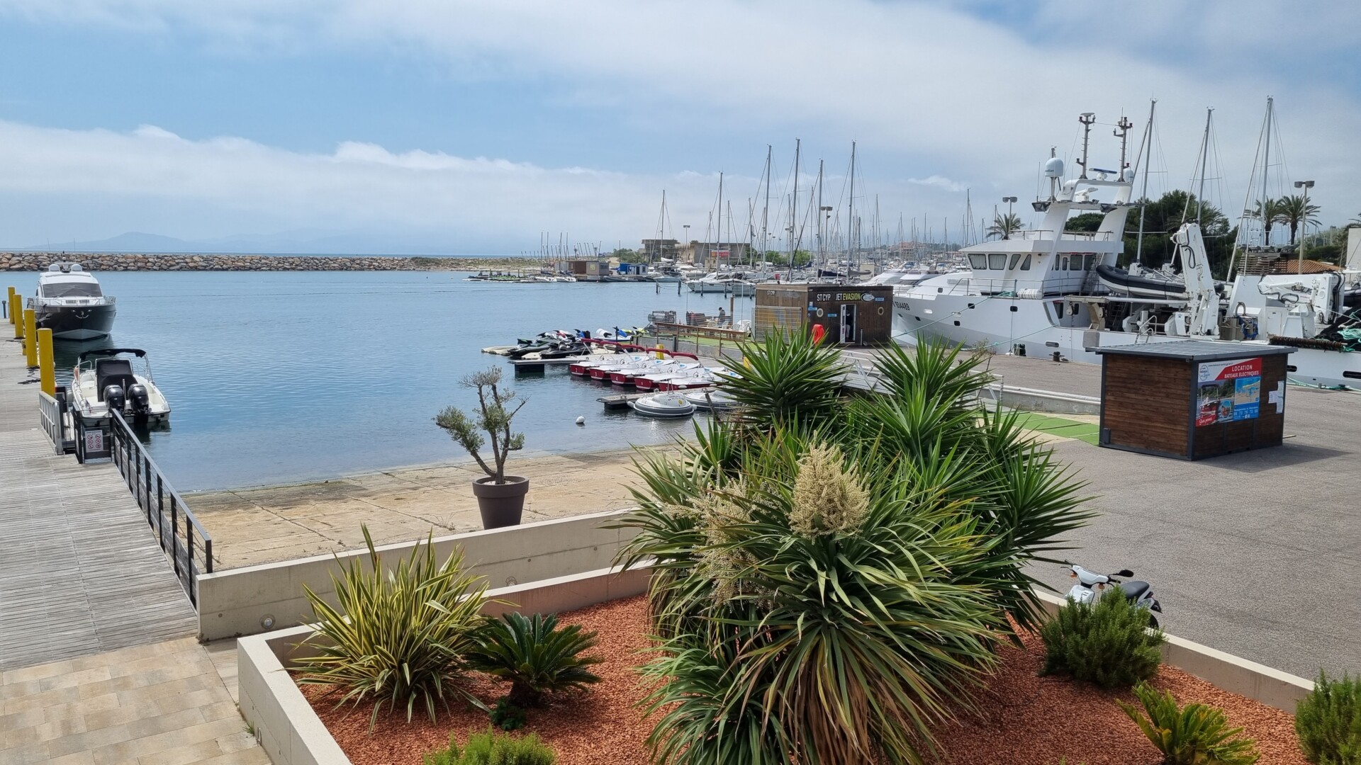 Port de Saint-Cyprien - TVCAT Le Journal Catalan