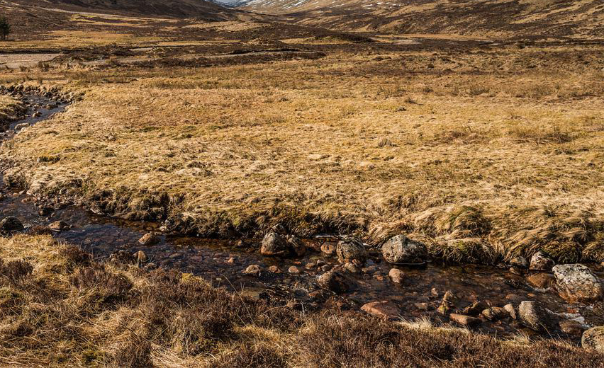 L’épisode de sécheresse exceptionnelle qui touche l’ensemble du département depuis la fin du printemps continue d’impacter les milieux naturels et les activités humaines.