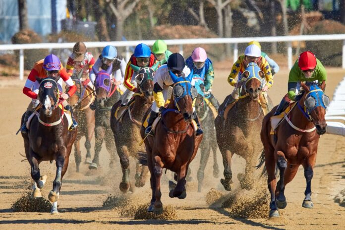 Course hippique Deauville : Voici ce que vous devez savoir.