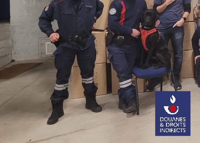 Douane : saisie de 250 kg d'herbe de cannabis par les douaniers de Port-vendres (66)