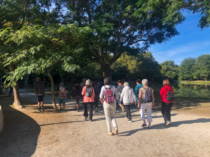 Reprise des ateliers Vital Séniors au Soler