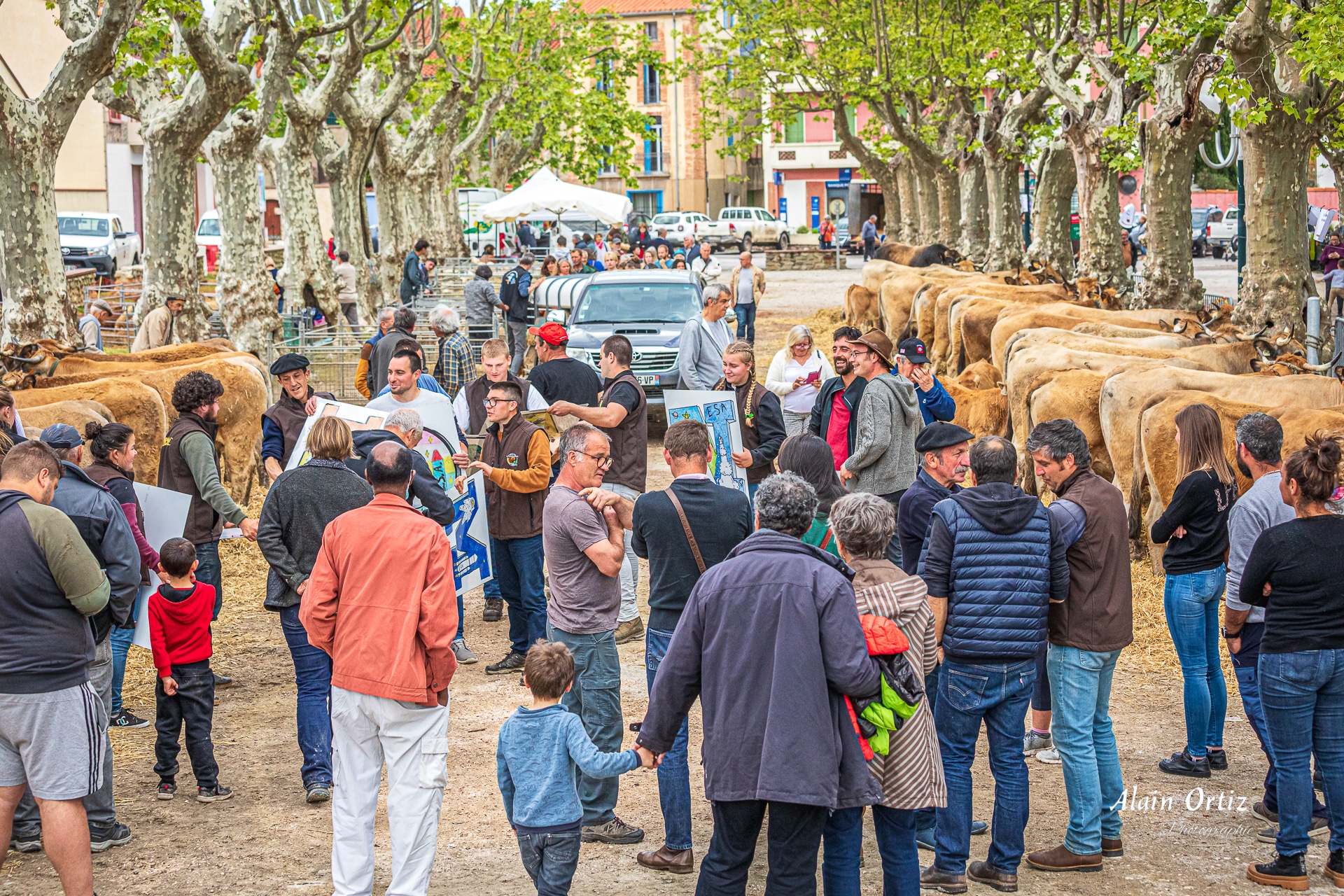 L’élevage en fête à Vinça du samedi 29 avril à 14H au dimanche 30 avril 2023 à la promenade