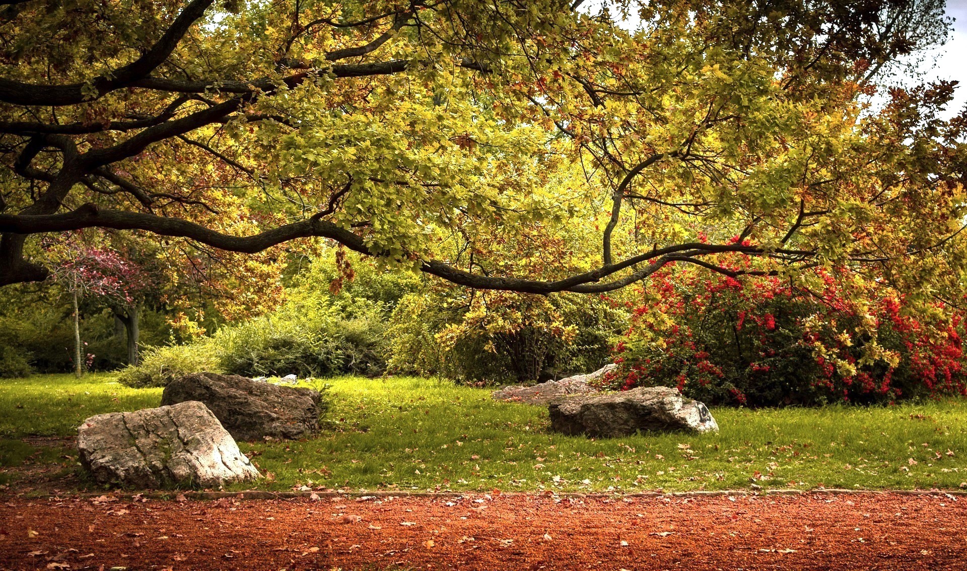 Jardiner et protéger la biodiversité dans nos villes