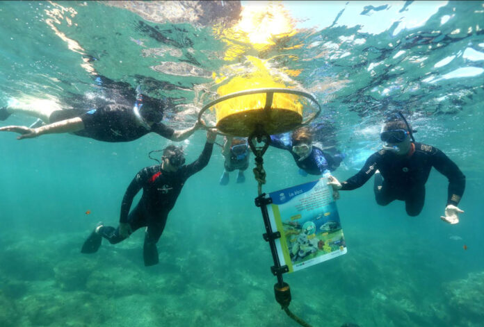 Lancement de la saison touristique 2024 par le Département et plongée au cœur du sentier sous-marin de Banyuls-Cerbère 1